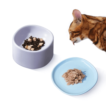 Custom Pet Ceramic Bowl Personalised Elevated Cat Food Bowl Pet Feeder Bowls