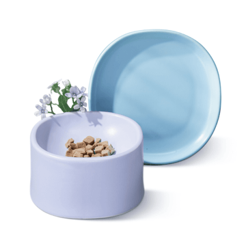 Custom Pet Ceramic Bowl Personalised Elevated Cat Food Bowl Pet Feeder Bowls
