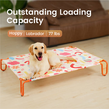 Cooling Portable Indoor & Outdoor Large Dog Elevated Pet Bed