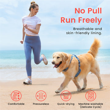 Custom Logo Luxury Comfortable Walking No Pull Pet Dog Harness