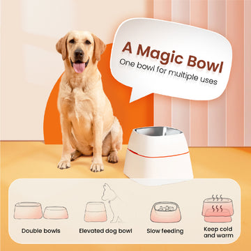 Stainless Steel Dog Feeding Bowls Small Medium Large Dogs Adjustable Anti Spill Dog Bowl