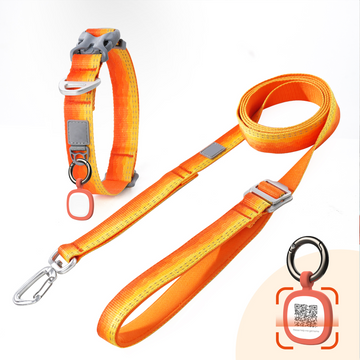 Custom Adjustable Luxury Lead Walk Small Pet Dog Collar Leashes Set