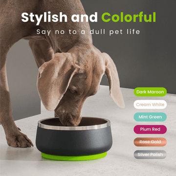 Custom Double Wall Stainless Steel Pet Feeder Dog Bowl