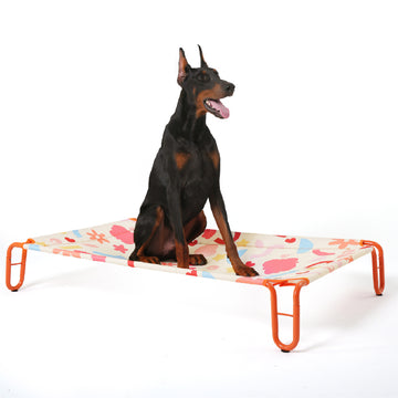 Cooling Portable Indoor & Outdoor Large Dog Elevated Pet Bed